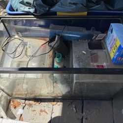 Fish Tank