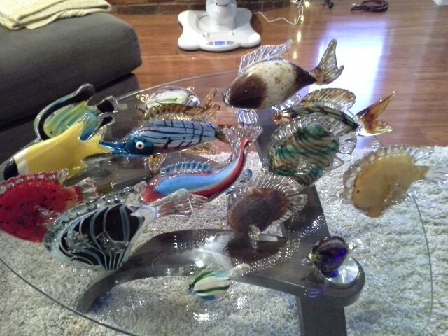 Glass fish collection