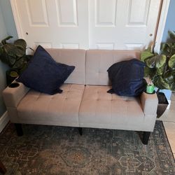 Love Seat Sofa With Pillows 