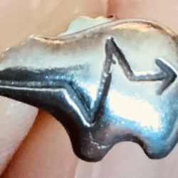 Classic Bear Earrings With Lightning Bolts Engraved