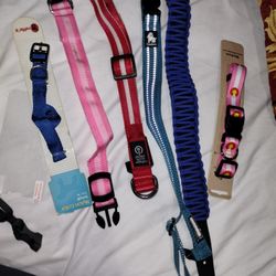 Dog Collar 