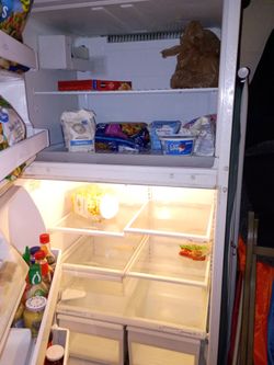 Top Freezer Refrigerator