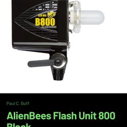ALIENBEES FLASH
