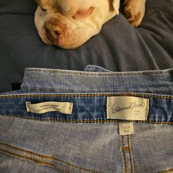 Universal Thread Goods Co Jeans