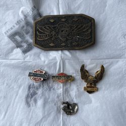 Vintage 1975  Brass Harley Davidson Belt, Buckle And Pins