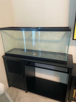 Large 55 gallon aquarium fish tank