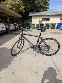 Marin Adult Riding Bicycle