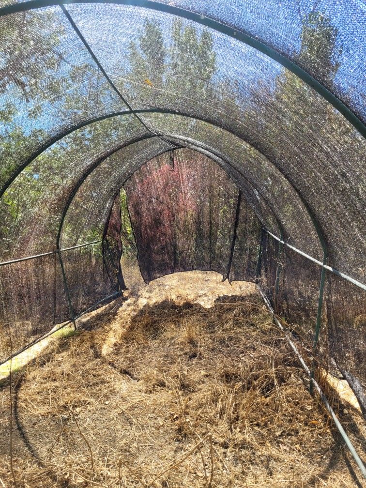 Garden Canopy 