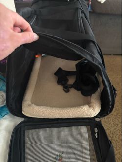 Cat carrier