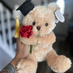 Graduation Teddy Bear