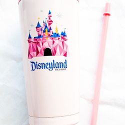 Starbucks Disneyland Steel Tumbler New No Longer Available
