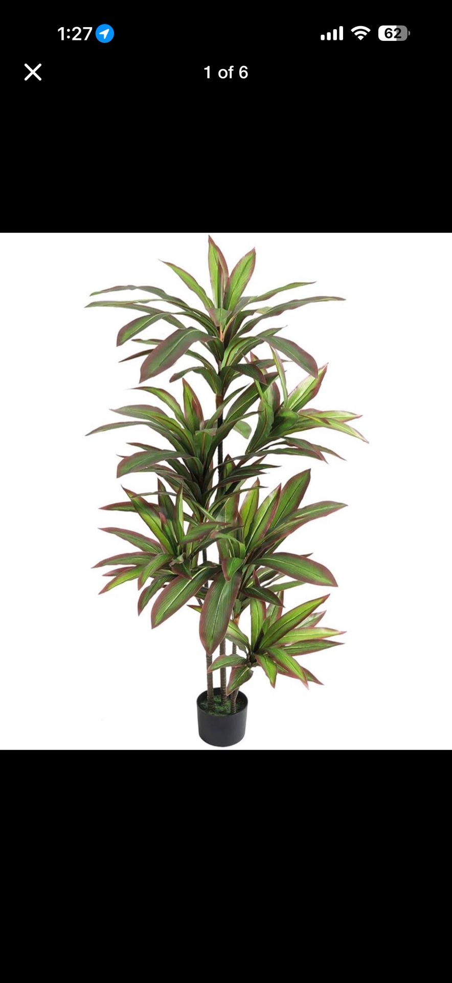 Dracaena Silk Plant Artificial