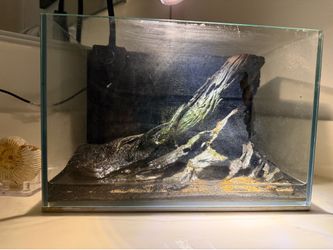 Nature Driftwood Aquascape – 2.7 Gallon Rimless Tank with LED Light