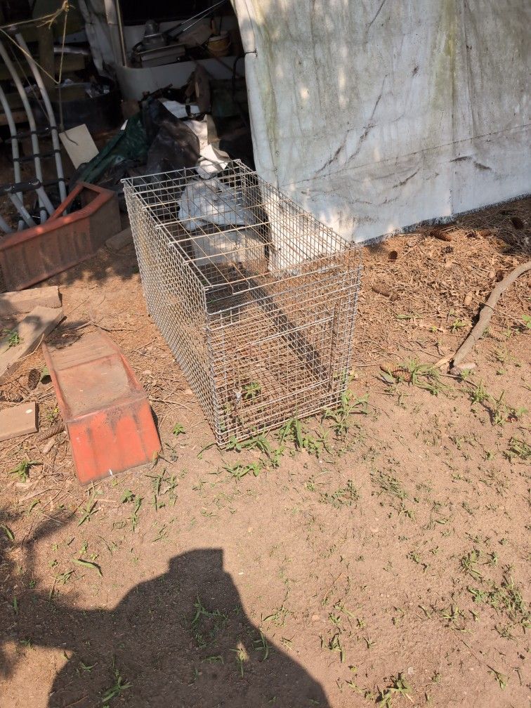 Animal Crate