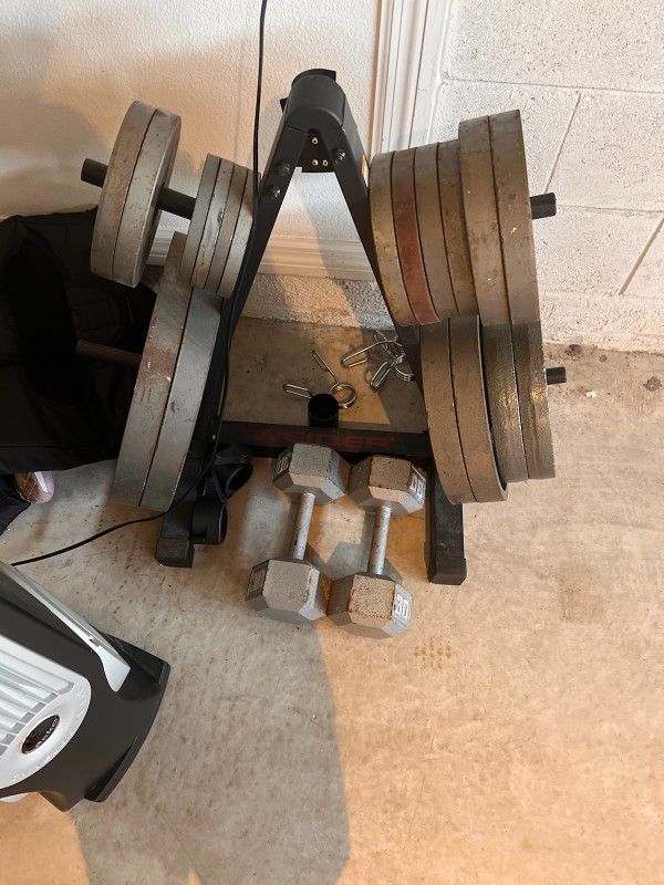 Olympic Weight Plates And Weight Tree