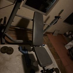 Workout Bench 