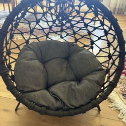 New Egg Dog Bed