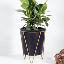 NEW 6 inch garden patio indoor outdoor planter pot with stand