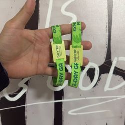 Day Trip 2- Day GA Wristband 