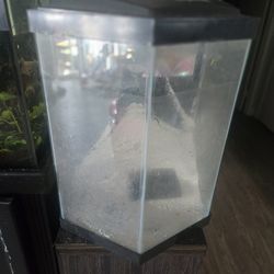 Hexagon Fish Tank