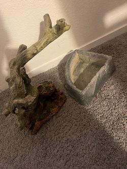 Reptile Supplies