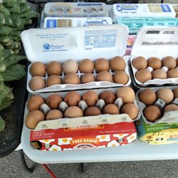 Fresh Farm Eggs 
