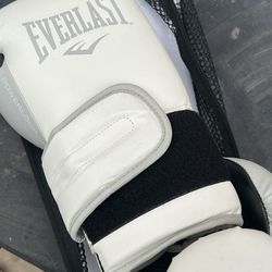 Ever Last Boxing Gloves.  
