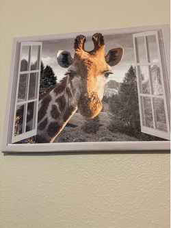 Giraffe Picture