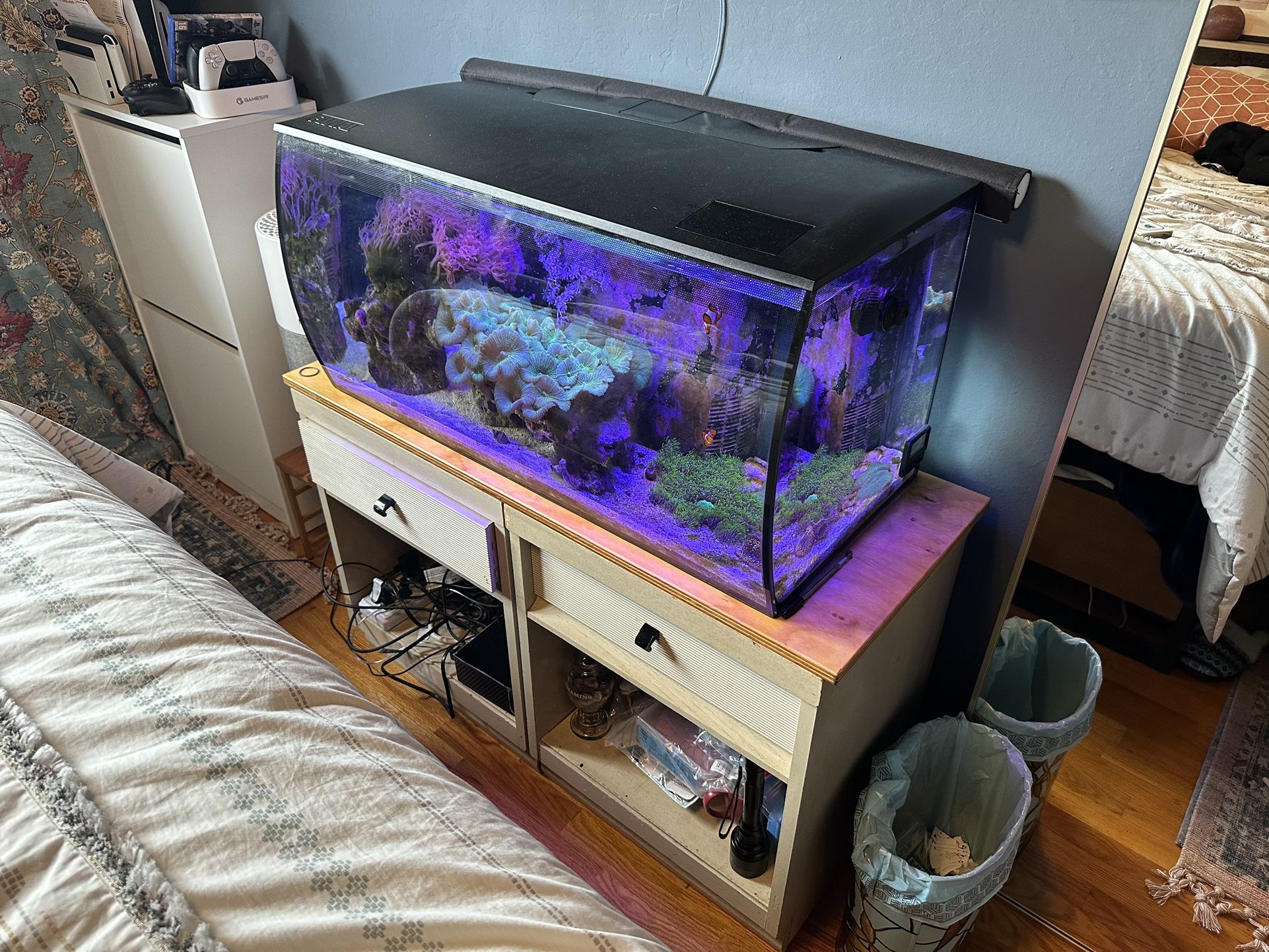 Complete Salt Water Fish Tank Set Up- Used