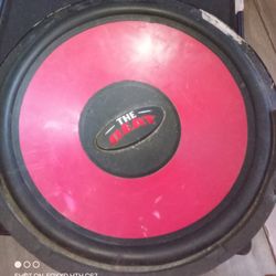 12" Subwoofer The Beat