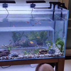 Aquarium for Cats, Immersive Cat Viewing Aquarium, Cat Entertainment Equipment