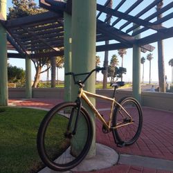 Throne 29er