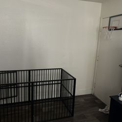 Dog Gate For Sale!