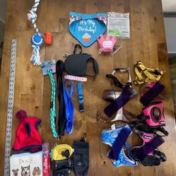 Dog Harnesses Leashes Collars Poop Bags Birthday Corrector Toys Hat Book 