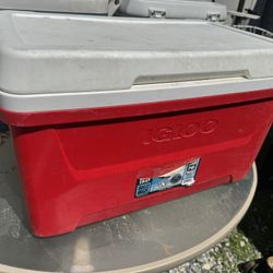 Cooler IGLOO