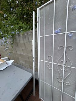 Security gate 36x80
