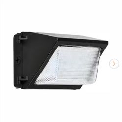 Security Light 52 Watts 