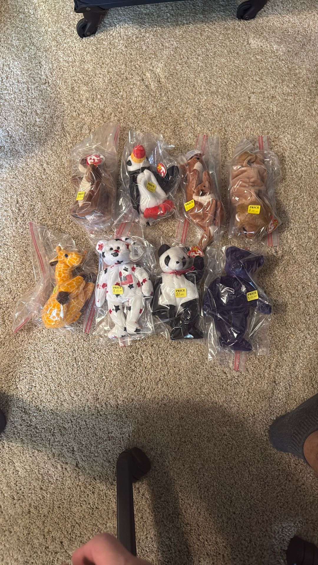 Beanie Babies 8 Discontinued