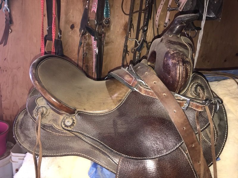Orthoflex Western Saddle 15.5” for Sale in Henderson, NV OfferUp