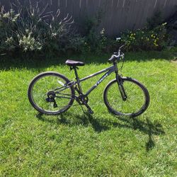 Bicycle Trek Precaliber 20 