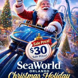 🎄✨ SEAWORLD ORLANDO CHRISTMAS TICKETS – ONLY $30! ✨🎄🎟️