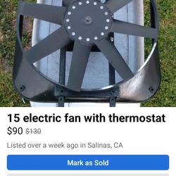 15 Electric Fan With Thermostat