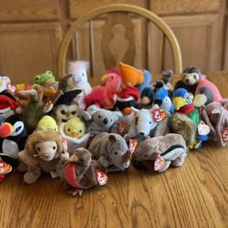 Beanie baby collection (not all Pictured Individually )