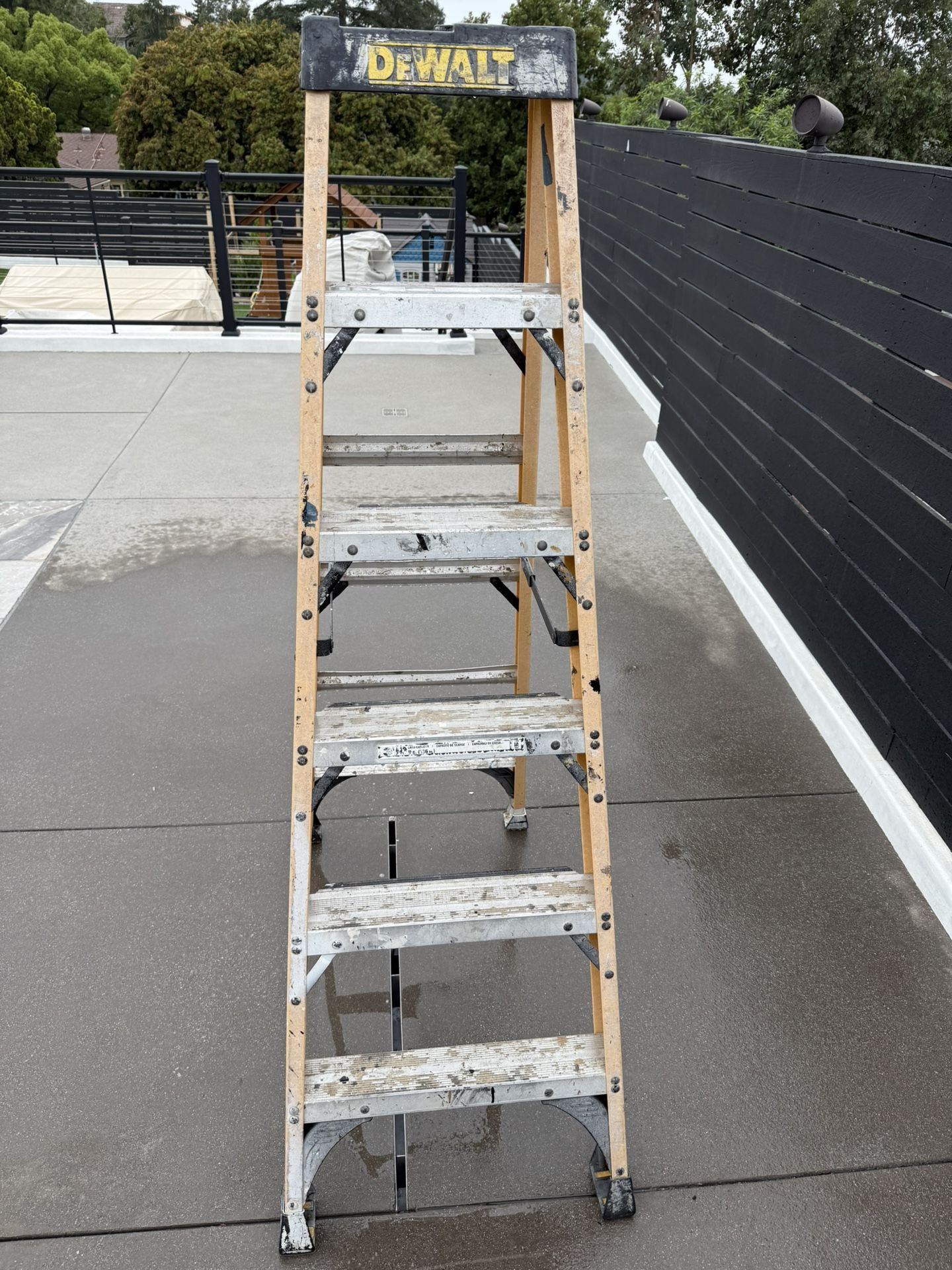 6 Ft Ladder