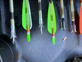 Hoyt Raptor Bow and arrows