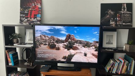 Vizio tv 48”