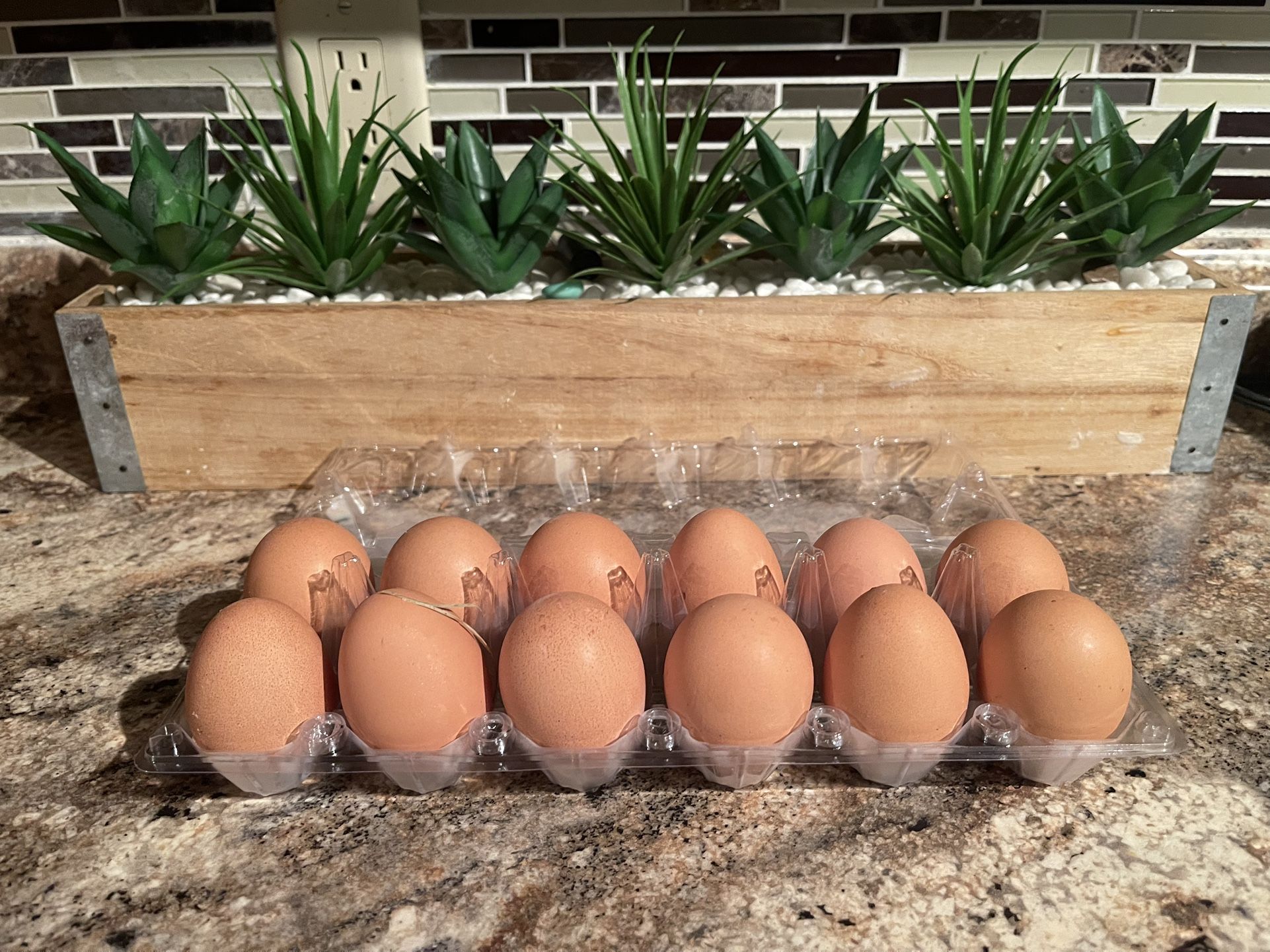 Eggs Fresh