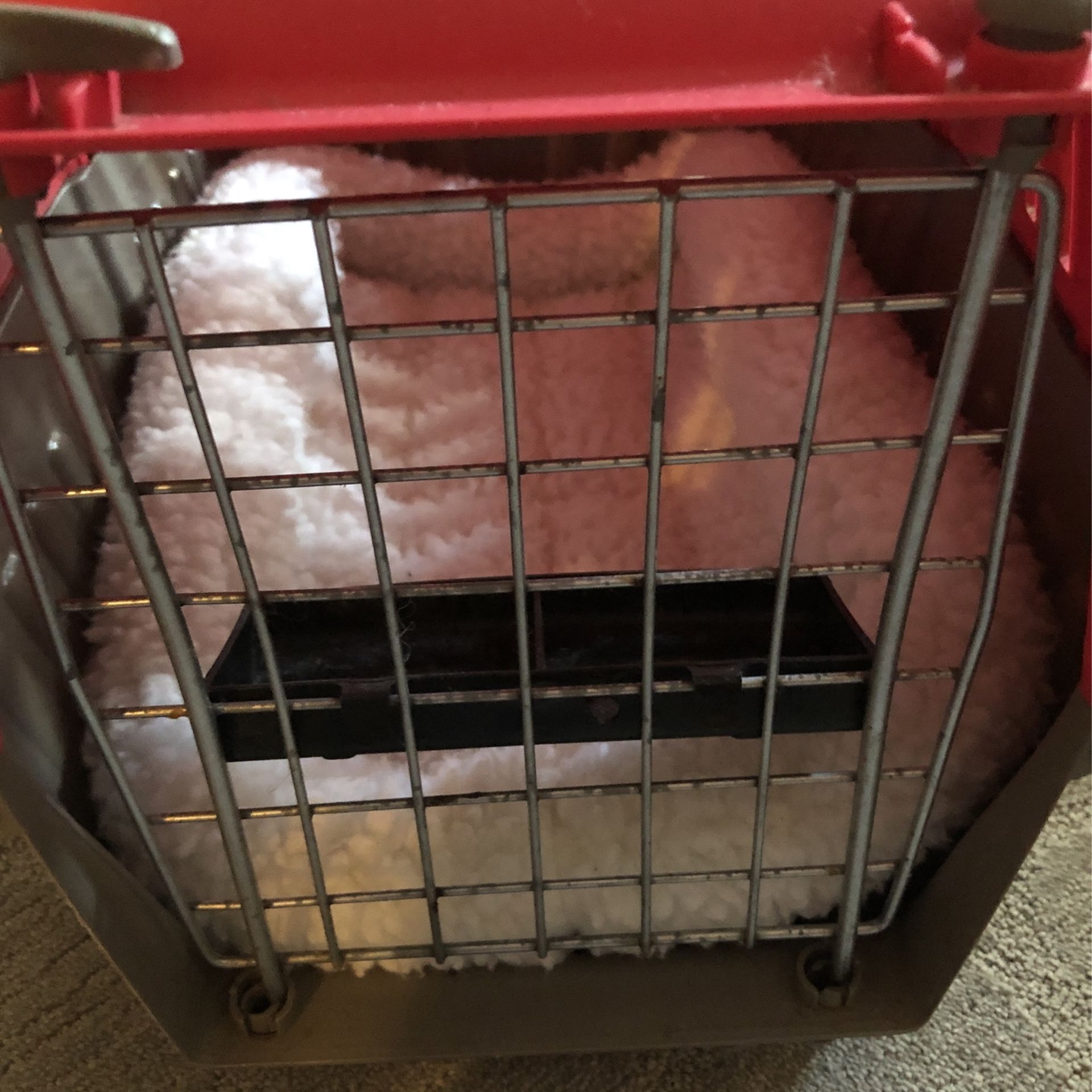 Puppy Small Dog Or Cat Pet Carrier Pet Kennel