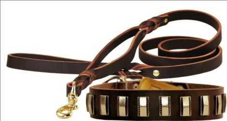 Brand New Dean & Tyler Premium Leather Dog Bundle - Brand New "Brass Line" Collar (36" x 1.5") & Matching Leash