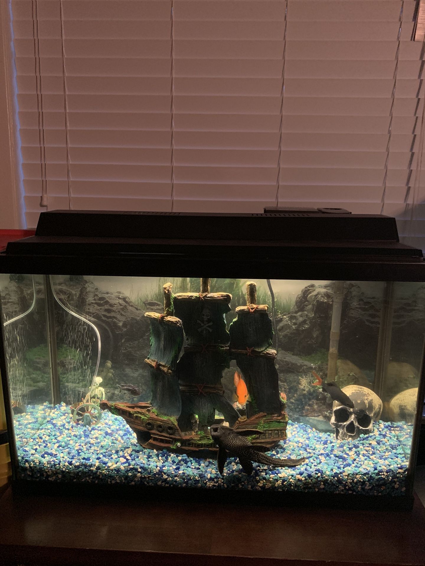 30 gallon fish tank